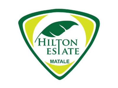 Hilton Estate